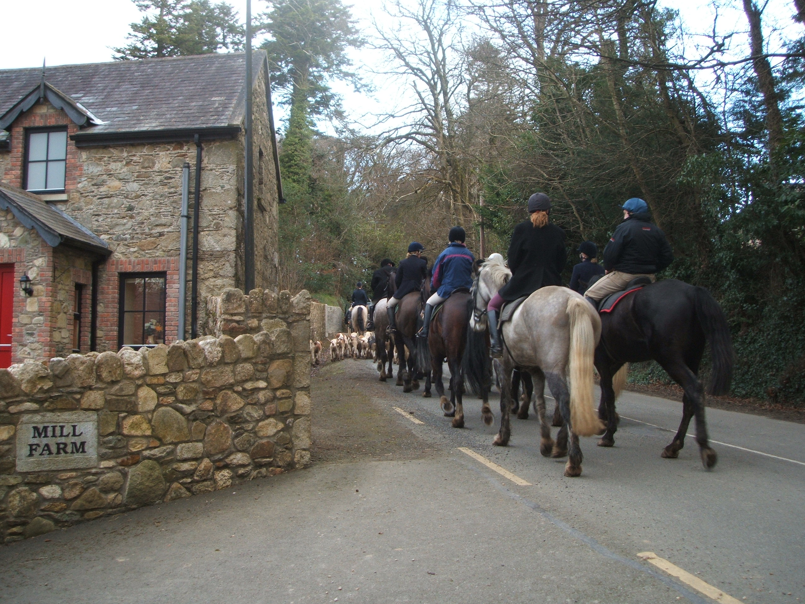 Cottages and outside views 001.jpg